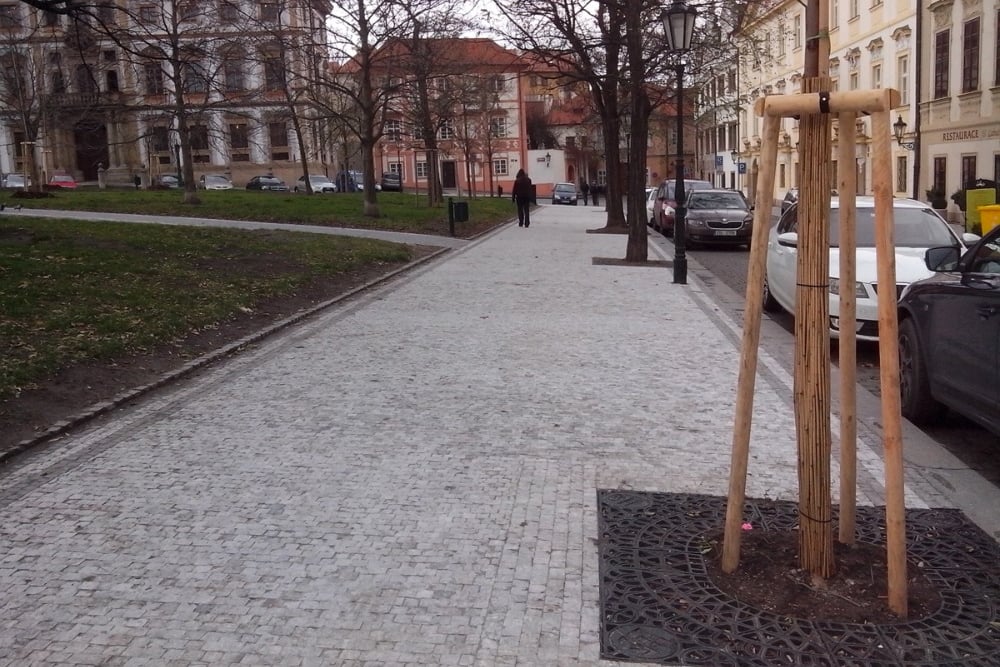 Historická budova u náměstí s nově vysazenými stromy v popředí.